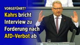 Forderung nach AfD-Verbot ab: Kahrs bricht Interview mit „Welt“-Redakteurin vorzeitig ab